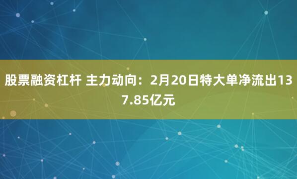 股票融资杠杆 主力动向：2月20日特大单净流出137.85亿元