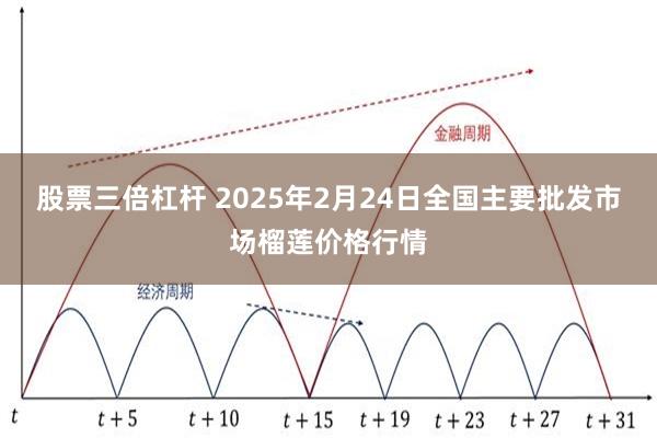 股票三倍杠杆 2025年2月24日全国主要批发市场榴莲价格行情