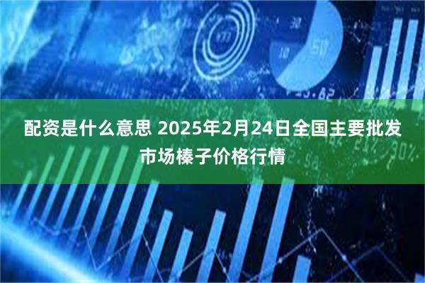 配资是什么意思 2025年2月24日全国主要批发市场榛子价格行情