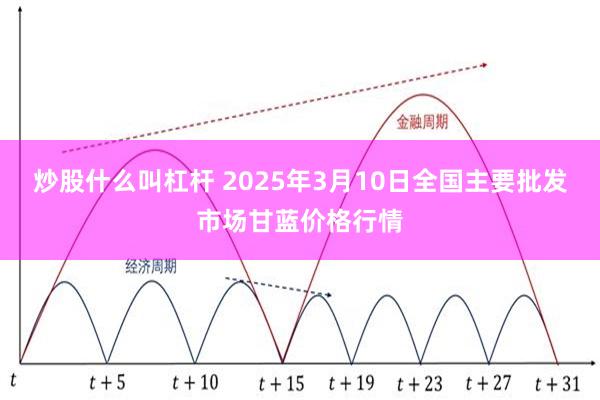 炒股什么叫杠杆 2025年3月10日全国主要批发市场甘蓝价格行情