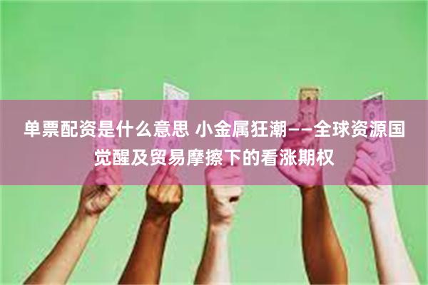 单票配资是什么意思 小金属狂潮——全球资源国觉醒及贸易摩擦下的看涨期权